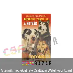 Ismeretterjesztő játékkártya - Hűséges társaink a kutyák