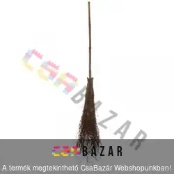 Bambusz seprű