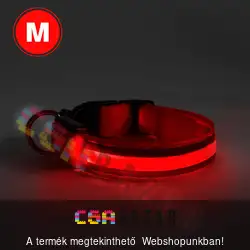 Világítós kutya nyakörv M-es méret - piros - USB-s tölthető