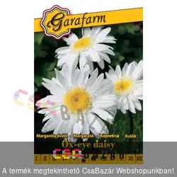 Virágmag - Évelő margaréta Maikönig - Garafarm