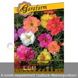 Virágmag - Porcsinrózsa alacsony színkeverék - Garafarm