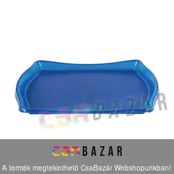 Liza kis méretű tálca - átlátszó